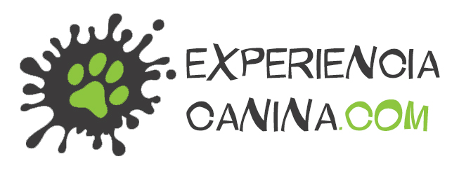 Web de EXPERIENCIA CANINA<br>Educación canina y modificación de conducta