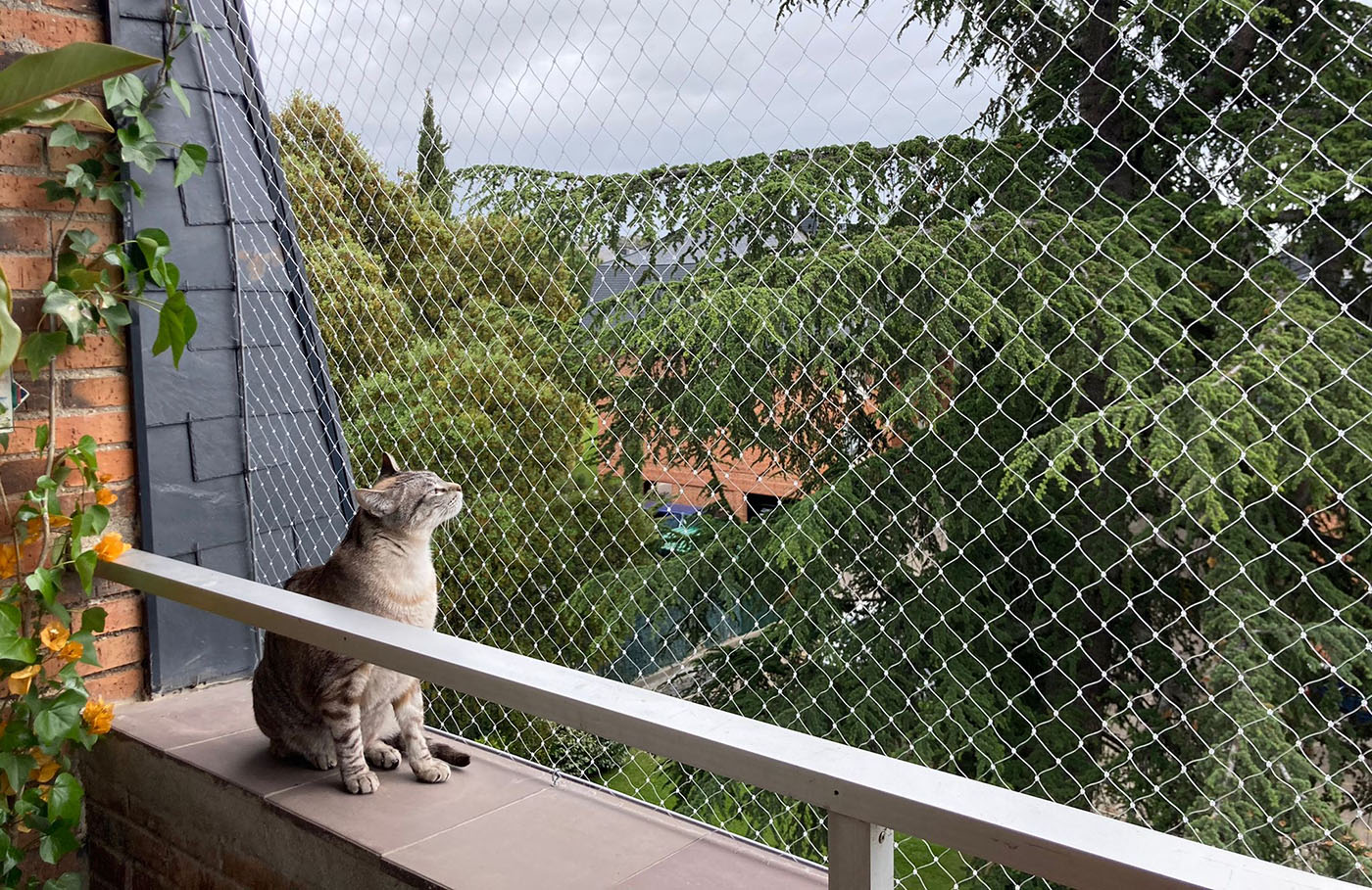 Redes se seguridad para el hogar para niños y mascotas