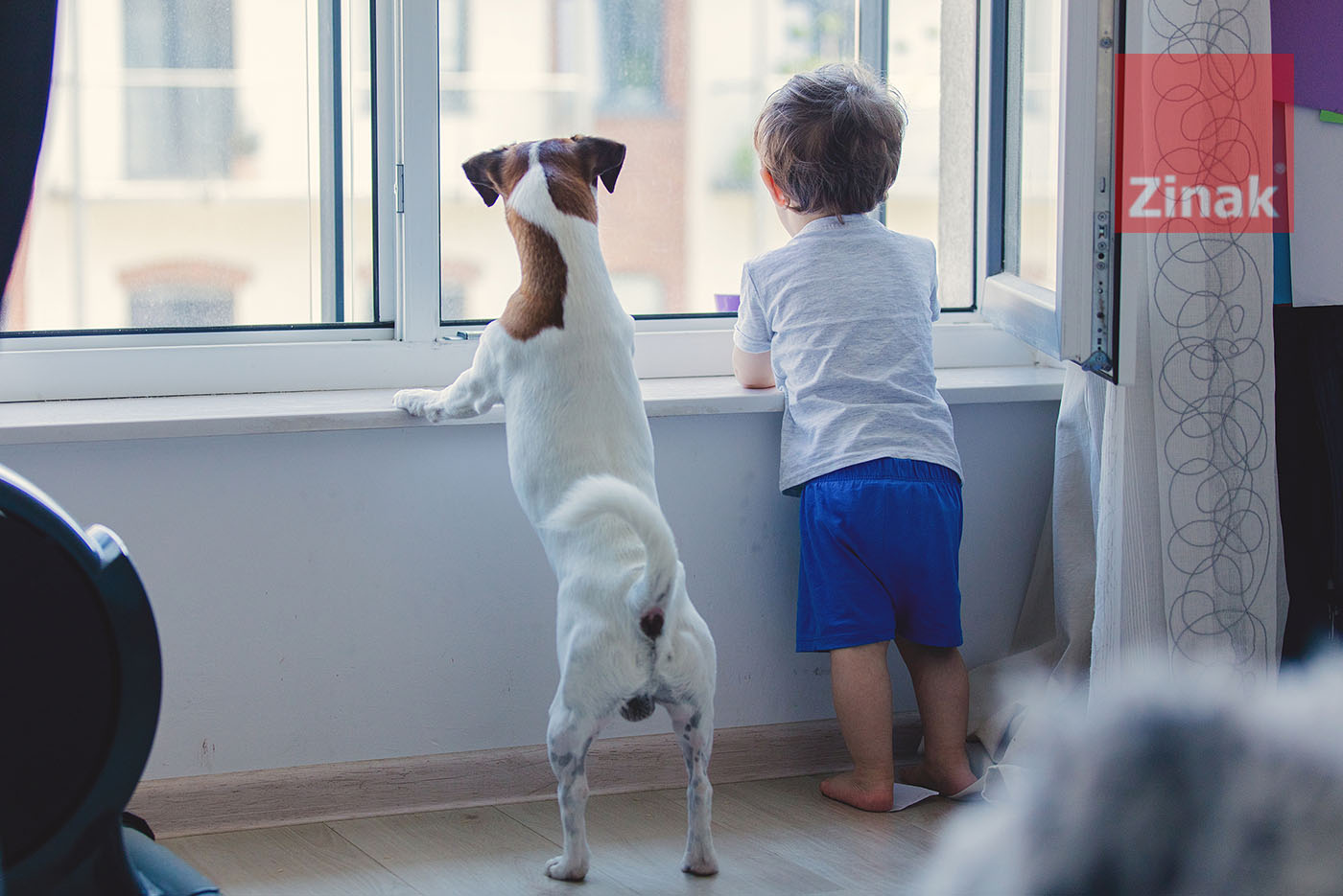 Caídas de niños desde ventanas: accidentes evitables